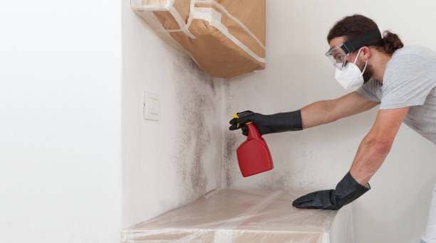 Professional Crawl Space Mold Removal technician working in Clinton, KY
