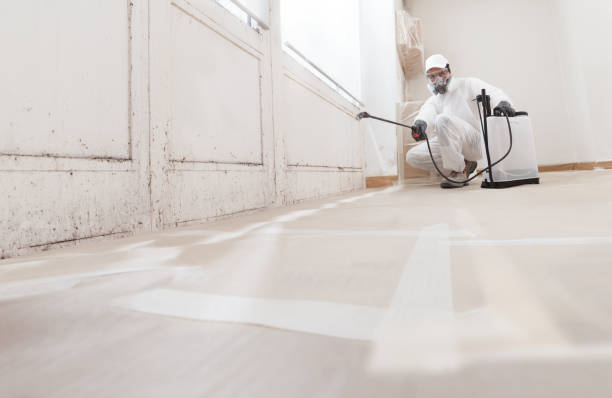 24/7 Emergency Crawl Space Mold Removal experts in Clinton, KY